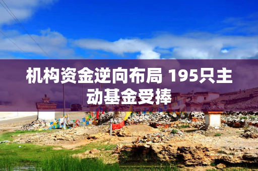机构资金逆向布局 195只主动基金受捧