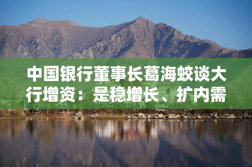 中国银行董事长葛海蛟谈大行增资：是稳增长、扩内需、化风险的增量政策举措