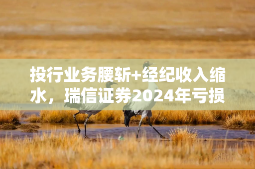 投行业务腰斩+经纪收入缩水，瑞信证券2024年亏损1.62亿元