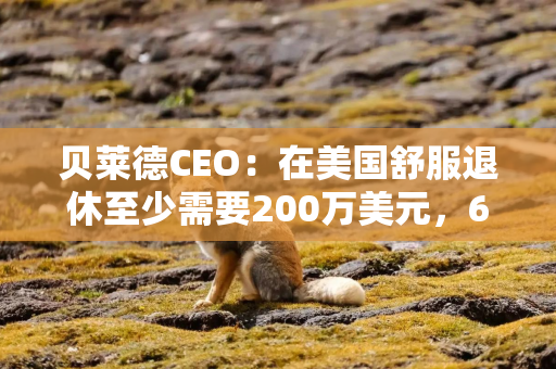 贝莱德CEO：在美国舒服退休至少需要200万美元，62%的人存款不到15万美元