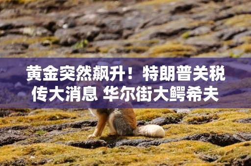 黄金突然飙升！特朗普关税传大消息 华尔街大鳄希夫发可怕警告