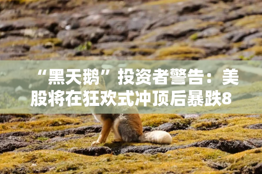 “黑天鹅”投资者警告：美股将在狂欢式冲顶后暴跌80%！