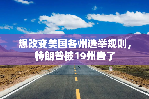 想改变美国各州选举规则，特朗普被19州告了