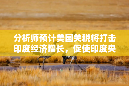 分析师预计美国关税将打击印度经济增长，促使印度央行进一步降息
