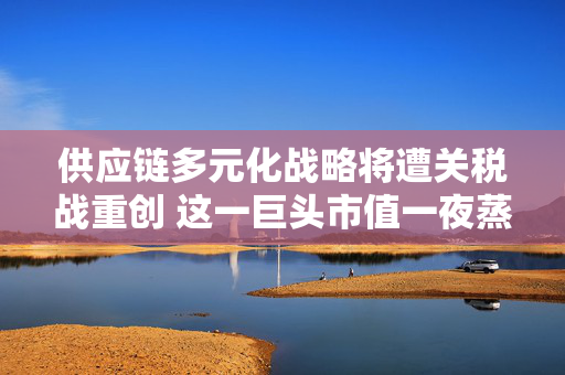 供应链多元化战略将遭关税战重创 这一巨头市值一夜蒸发超3000亿美元