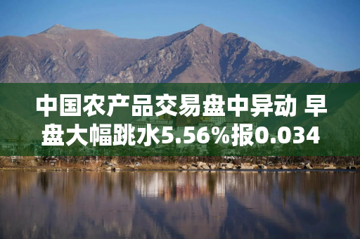中国农产品交易盘中异动 早盘大幅跳水5.56%报0.034港元