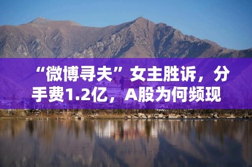 “微博寻夫”女主胜诉，分手费1.2亿，A股为何频现天价离婚案？