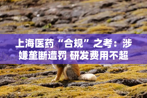 上海医药“合规”之考：涉嫌垄断遭罚 研发费用不超过营收1%