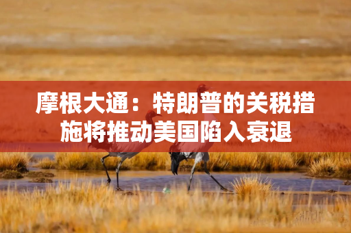 摩根大通：特朗普的关税措施将推动美国陷入衰退