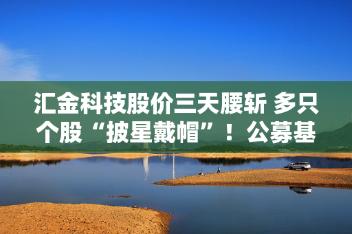 汇金科技股价三天腰斩 多只个股“披星戴帽”！公募基金如何“避雷”？
