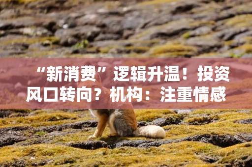 “新消费”逻辑升温！投资风口转向？机构：注重情感满足，Z世代成为消费主力，长期看好消费升级机会