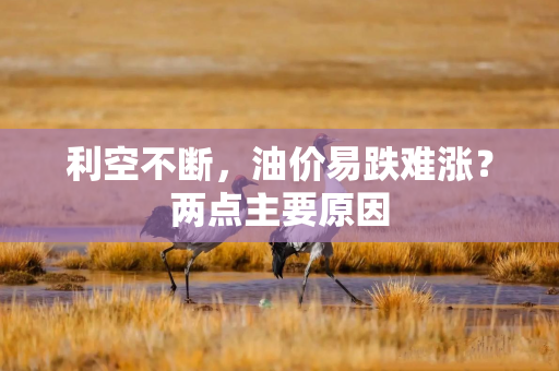 利空不断，油价易跌难涨？两点主要原因