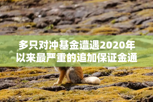 多只对冲基金遭遇2020年以来最严重的追加保证金通知