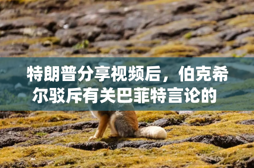 特朗普分享视频后，伯克希尔驳斥有关巴菲特言论的 "不实 "报道