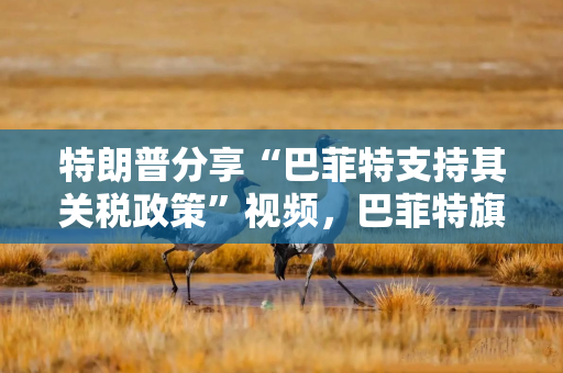 特朗普分享“巴菲特支持其关税政策”视频，巴菲特旗下投资公司否认：假的