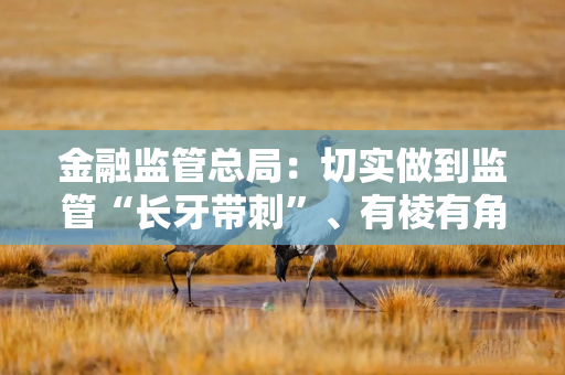 金融监管总局：切实做到监管“长牙带刺”、有棱有角，切实净化朋友圈、社交圈、生活圈