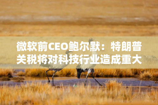 微软前CEO鲍尔默：特朗普关税将对科技行业造成重大破坏