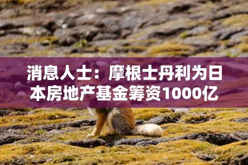 消息人士：摩根士丹利为日本房地产基金筹资1000亿日元