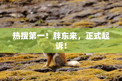 热搜第一！胖东来，正式起诉！