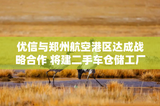 优信与郑州航空港区达成战略合作 将建二手车仓储工厂店