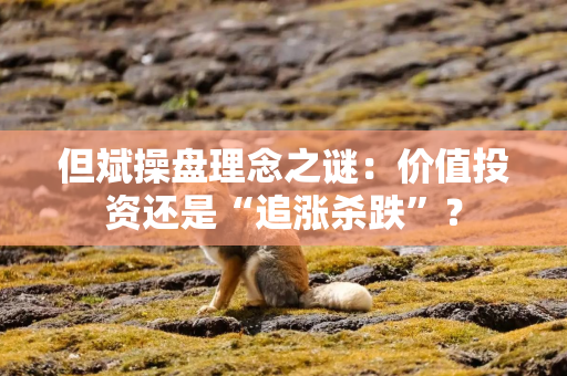 但斌操盘理念之谜：价值投资还是“追涨杀跌”？