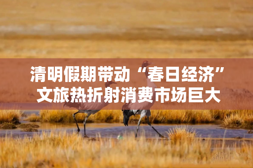 清明假期带动“春日经济” 文旅热折射消费市场巨大潜力