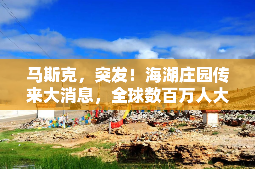 马斯克，突发！海湖庄园传来大消息，全球数百万人大集结……