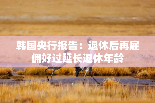 韩国央行报告：退休后再雇佣好过延长退休年龄