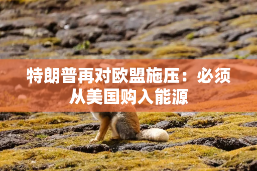 特朗普再对欧盟施压：必须从美国购入能源