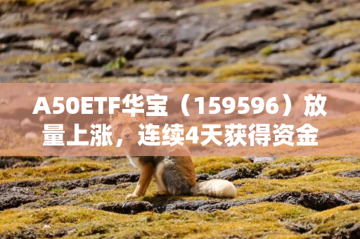 A50ETF华宝（159596）放量上涨，连续4天获得资金净申购