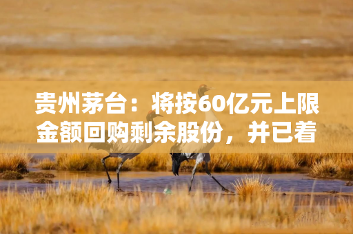 贵州茅台：将按60亿元上限金额回购剩余股份，并已着手起草新一轮回购方案