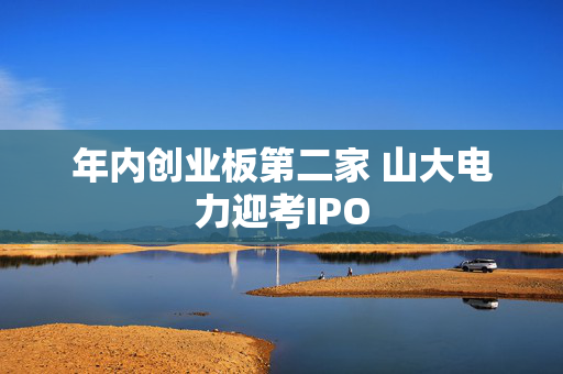 年内创业板第二家 山大电力迎考IPO