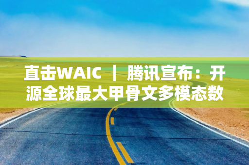 直击WAIC ｜ 腾讯宣布：开源全球最大甲骨文多模态数据
