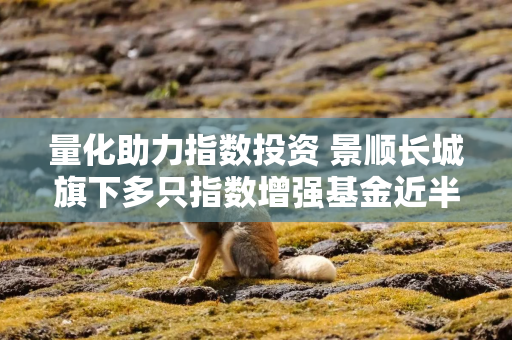量化助力指数投资 景顺长城旗下多只指数增强基金近半年业绩抢眼