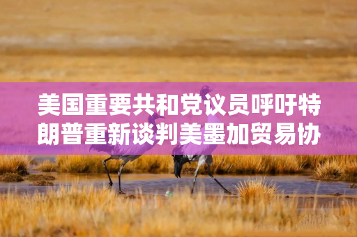 美国重要共和党议员呼吁特朗普重新谈判美墨加贸易协定