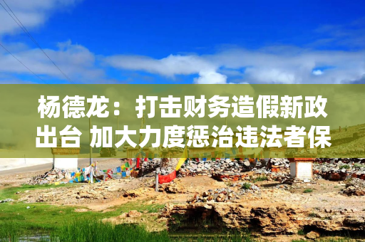 杨德龙：打击财务造假新政出台 加大力度惩治违法者保护投资者