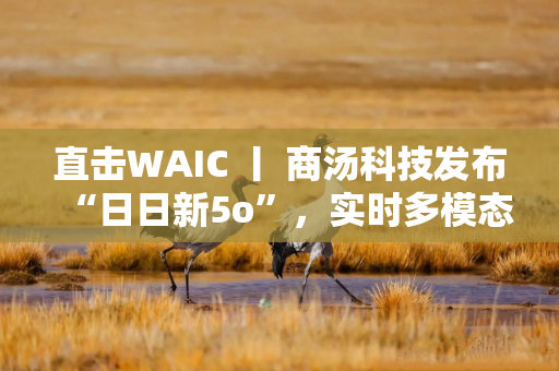 直击WAIC 丨 商汤科技发布“日日新5o”，实时多模态交互对标GPT-4o
