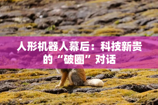 人形机器人幕后：科技新贵的“破圈”对话