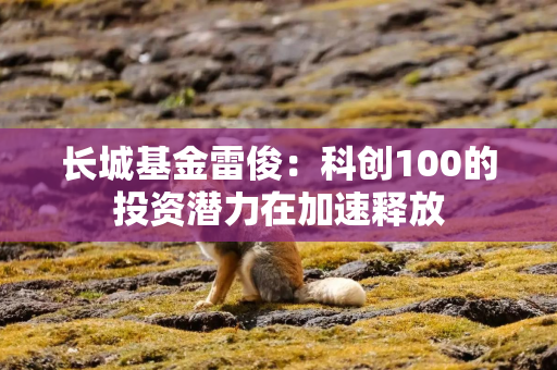 长城基金雷俊：科创100的投资潜力在加速释放