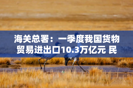 海关总署：一季度我国货物贸易进出口10.3万亿元 民营企业进出口占比提升