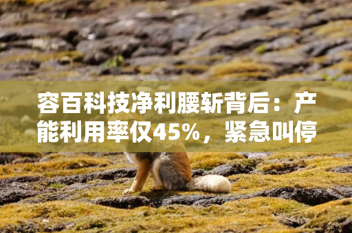 容百科技净利腰斩背后：产能利用率仅45%，紧急叫停扩产项目