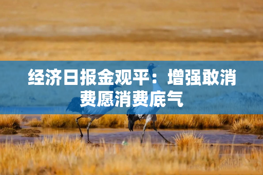 经济日报金观平：增强敢消费愿消费底气