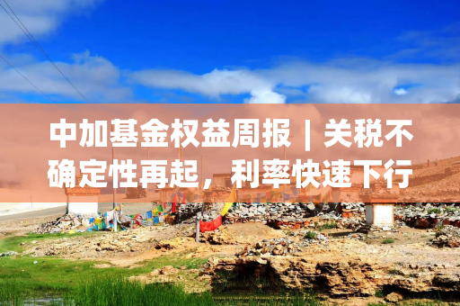 中加基金权益周报︱关税不确定性再起，利率快速下行