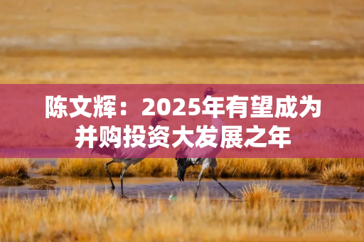 陈文辉：2025年有望成为并购投资大发展之年
