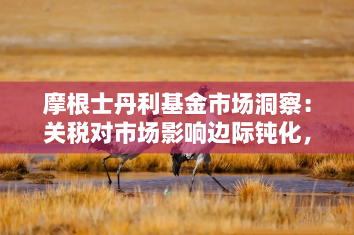 摩根士丹利基金市场洞察：关税对市场影响边际钝化，A股后续或迎结构性机会