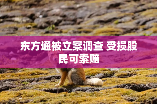 东方通被立案调查 受损股民可索赔