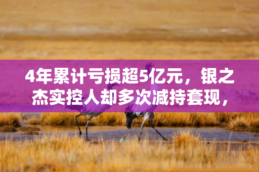 4年累计亏损超5亿元，银之杰实控人却多次减持套现，公司困境背后藏着什么
