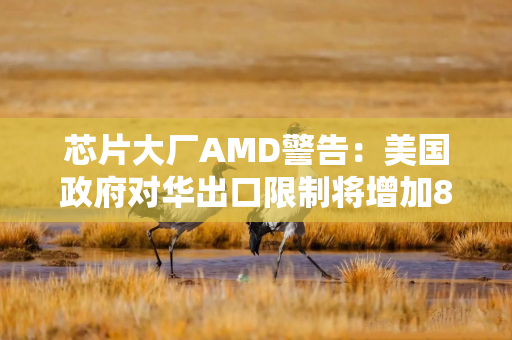 芯片大厂AMD警告：美国政府对华出口限制将增加8亿美元额外费用