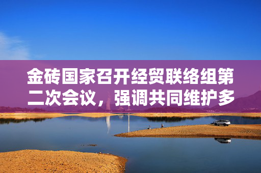 金砖国家召开经贸联络组第二次会议，强调共同维护多边贸易体制，反对单边主义和贸易保护主义