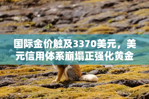 国际金价触及3370美元，美元信用体系崩塌正强化黄金牛市逻辑